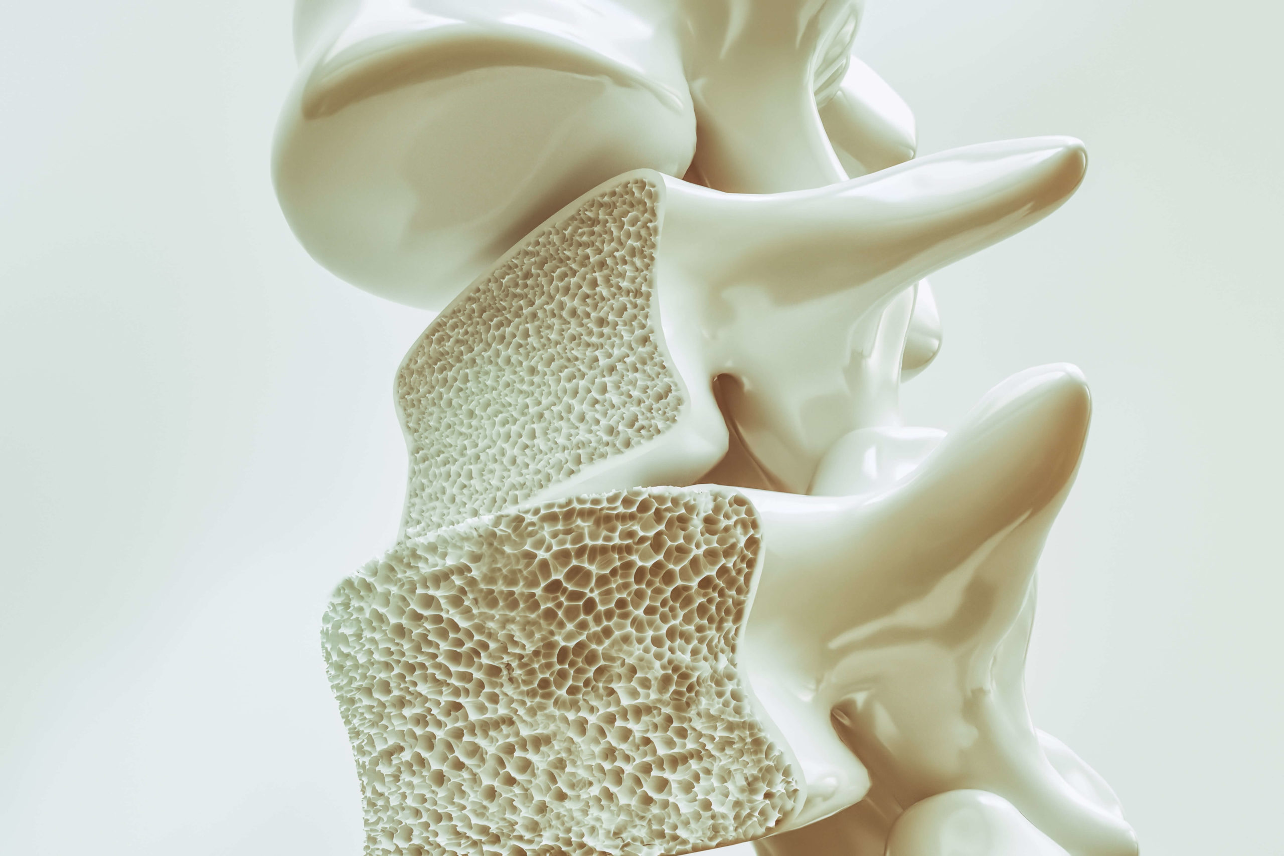 Improve Bone Health and Reduce Your Risk of Osteoporosis